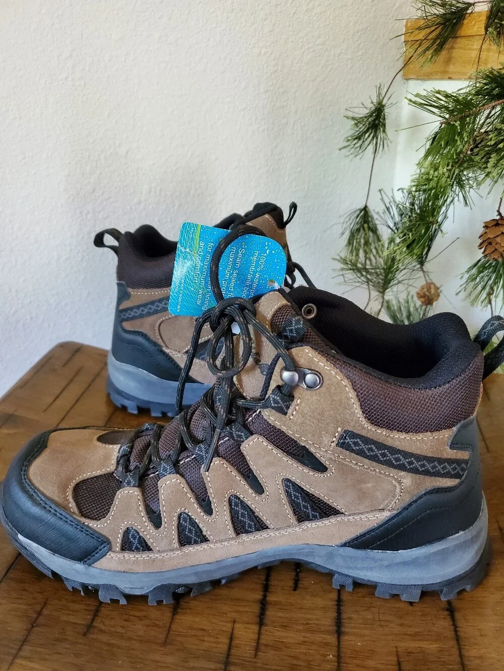 NWT Eddie Bauer Men Ridgeline Brown Waterproof Leather Hiking Boots